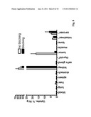 POLYPEPTIDES HAVING AFFINITY FOR HER2 diagram and image