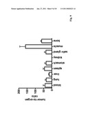 POLYPEPTIDES HAVING AFFINITY FOR HER2 diagram and image