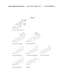 PARTICLE STRUCTURES COMPRISING STEROLS AND SAPONINS diagram and image