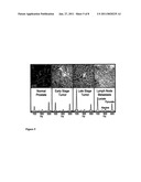 MR METHODS OF GRADING A TUMOR USING AN IMAGING MEDIUM THAT COMPRISES HYPERPOLARISED 13C-PYRUVATE diagram and image