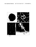 METHODS FOR IN VIVO IMAGING OF CELLS diagram and image