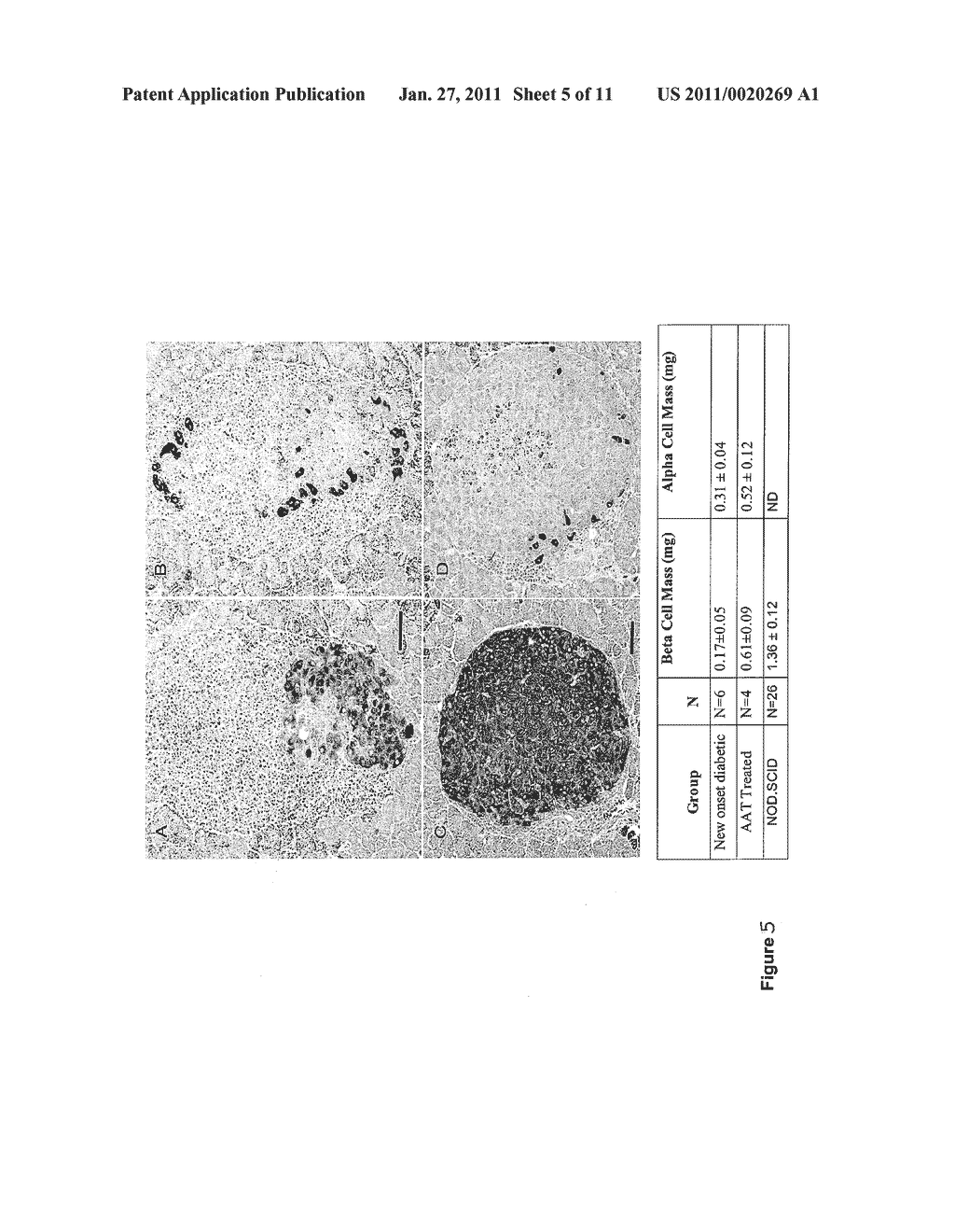 METHODS AND COMPOSITIONS FOR MODIFYING T CELL IMMUNE RESPONSES AND INFLAMMATION - diagram, schematic, and image 06