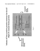 METHODS AND COMPOSITIONS FOR MODIFYING T CELL IMMUNE RESPONSES AND INFLAMMATION diagram and image