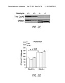 MOBILIZATION OF HEMATOPOIETIC STEM CELLS diagram and image