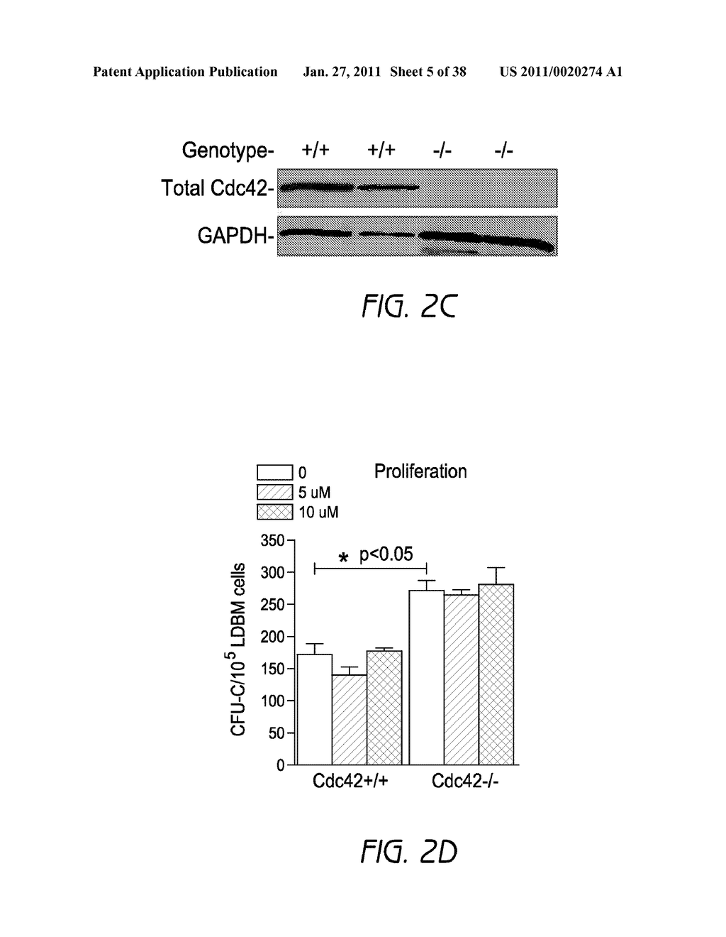 MOBILIZATION OF HEMATOPOIETIC STEM CELLS - diagram, schematic, and image 06