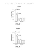 MOBILIZATION OF HEMATOPOIETIC STEM CELLS diagram and image