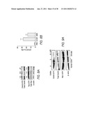 MOBILIZATION OF HEMATOPOIETIC STEM CELLS diagram and image