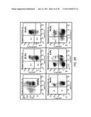 MOBILIZATION OF HEMATOPOIETIC STEM CELLS diagram and image