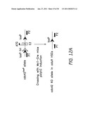 MOBILIZATION OF HEMATOPOIETIC STEM CELLS diagram and image