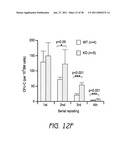 MOBILIZATION OF HEMATOPOIETIC STEM CELLS diagram and image