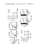 MOBILIZATION OF HEMATOPOIETIC STEM CELLS diagram and image