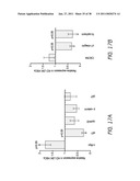 MOBILIZATION OF HEMATOPOIETIC STEM CELLS diagram and image