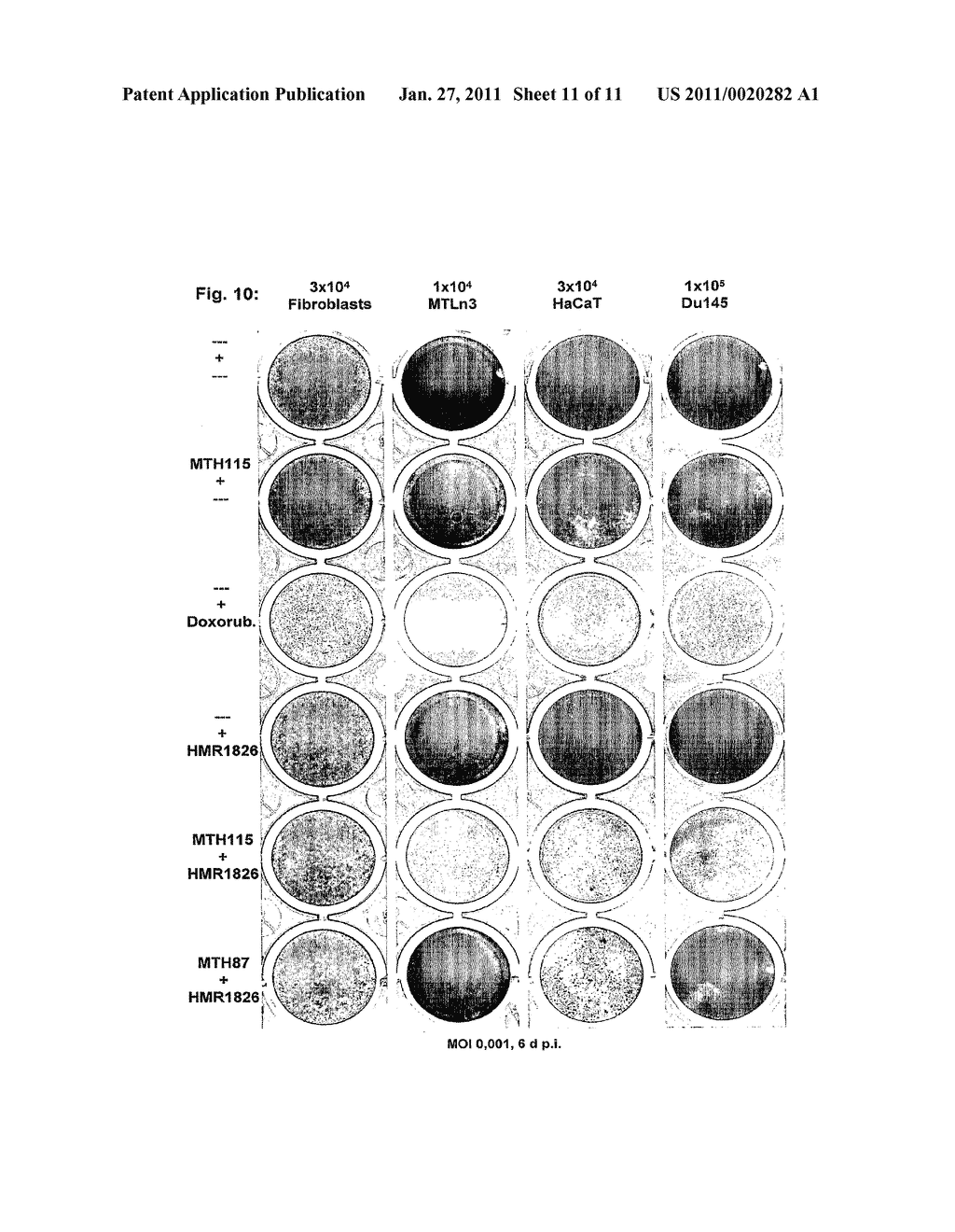 RECOMBINANT NEWCASTLE DISEASE VIRUS - diagram, schematic, and image 12