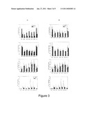 PROBIOTIC, GRAM-POSITIVE BACTERIA FOR THE PROPHYLAXIS, SUPPRESSION, OR ELIMINATION OF ALLERGIC REACTIONS IN HUMANS diagram and image