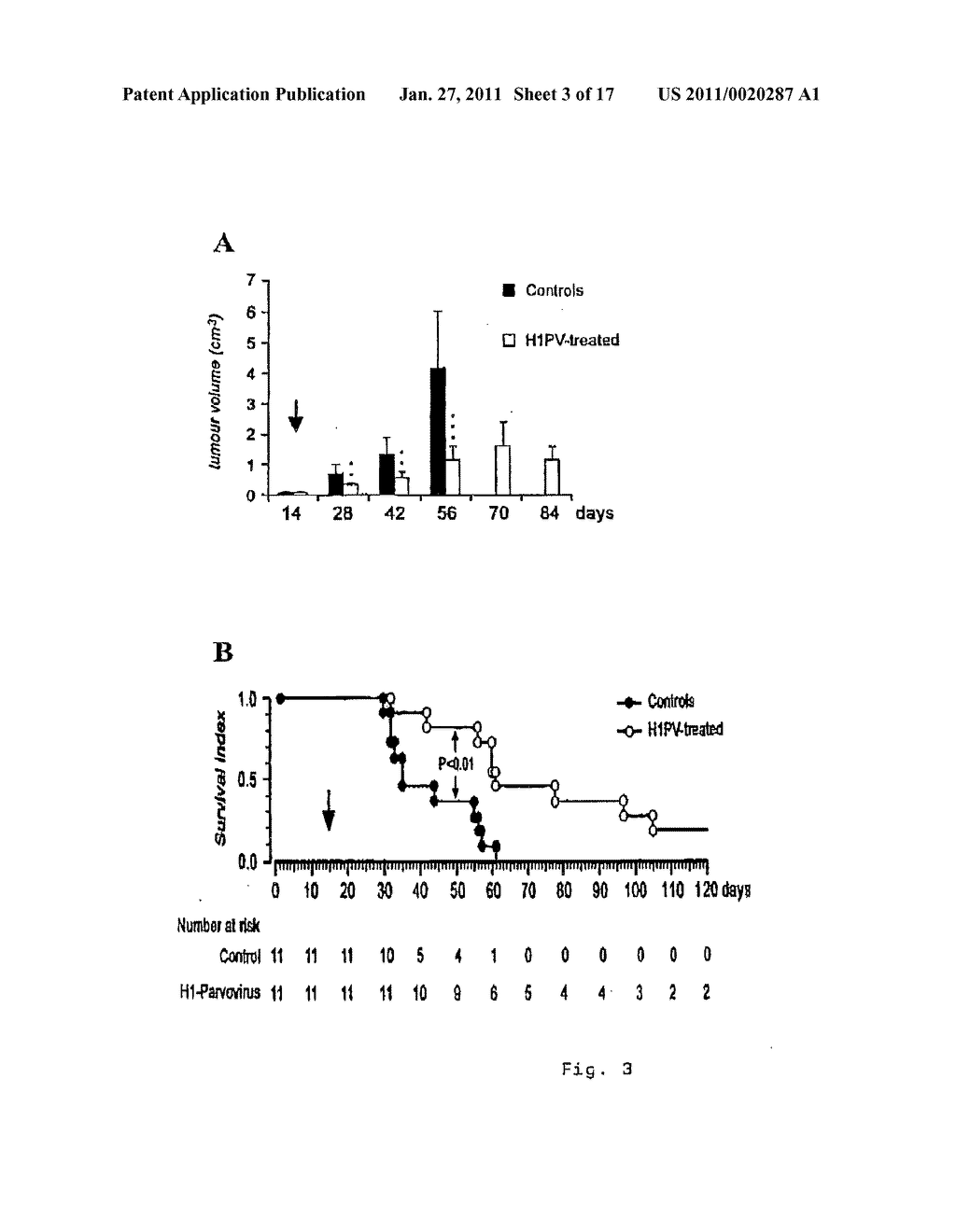 Parvovirus Cancer Therapy and Combination with Chemotherapy - diagram, schematic, and image 04