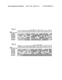 BACTERIOPHAGE-CONTAINING THERAPEUTIC AGENTS diagram and image