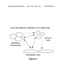 Use of Stem Cells to Reduce Leukocyte Extravasation diagram and image