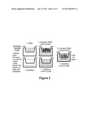 Use of Stem Cells to Reduce Leukocyte Extravasation diagram and image