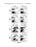 Use of Stem Cells to Reduce Leukocyte Extravasation diagram and image