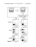 Use of Stem Cells to Reduce Leukocyte Extravasation diagram and image