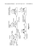 Use of Stem Cells to Reduce Leukocyte Extravasation diagram and image