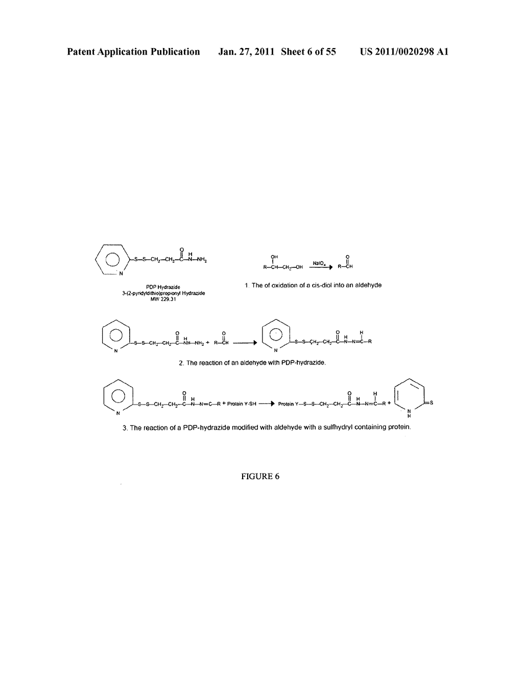 COLLAGEN-BINDING SYNTHETIC PEPTIDOGLYCANS, PREPARATION, AND METHODS OF USE - diagram, schematic, and image 07