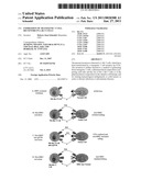 EXPRESSION OF TRANSGENIC T CELL RECEPTORS IN LAK-T CELLS diagram and image