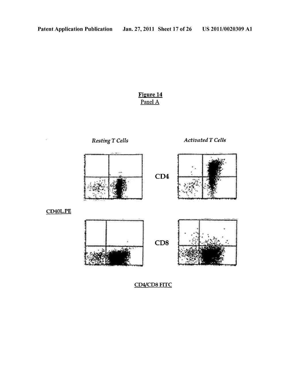 EX-VIVO PRIMING FOR GENERATING CYTOTOXIC T LYMPHOCYTES SPECIFIC FOR NON-TUMOR ANTIGENS TO TREAT AUTOIMMUNE AND ALLERGICE DISEASE - diagram, schematic, and image 18