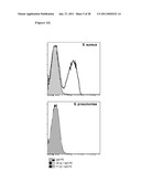 GRAM-POSITIVE BACTERIA SPECIFIC BINDING COMPOUNDS diagram and image