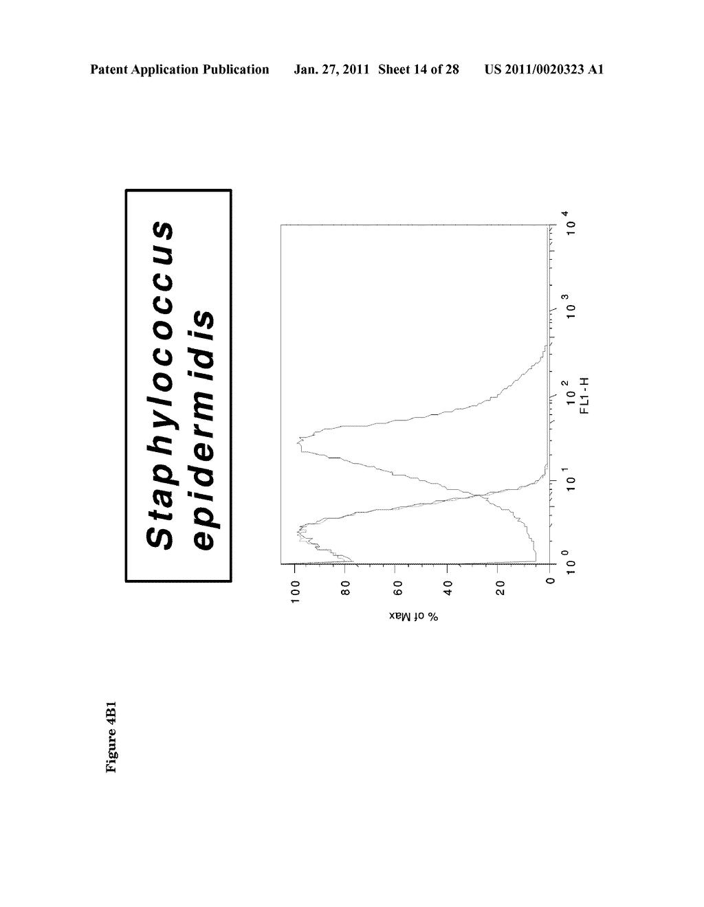 GRAM-POSITIVE BACTERIA SPECIFIC BINDING COMPOUNDS - diagram, schematic, and image 15