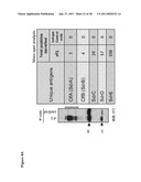 GRAM-POSITIVE BACTERIA SPECIFIC BINDING COMPOUNDS diagram and image