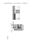 GRAM-POSITIVE BACTERIA SPECIFIC BINDING COMPOUNDS diagram and image
