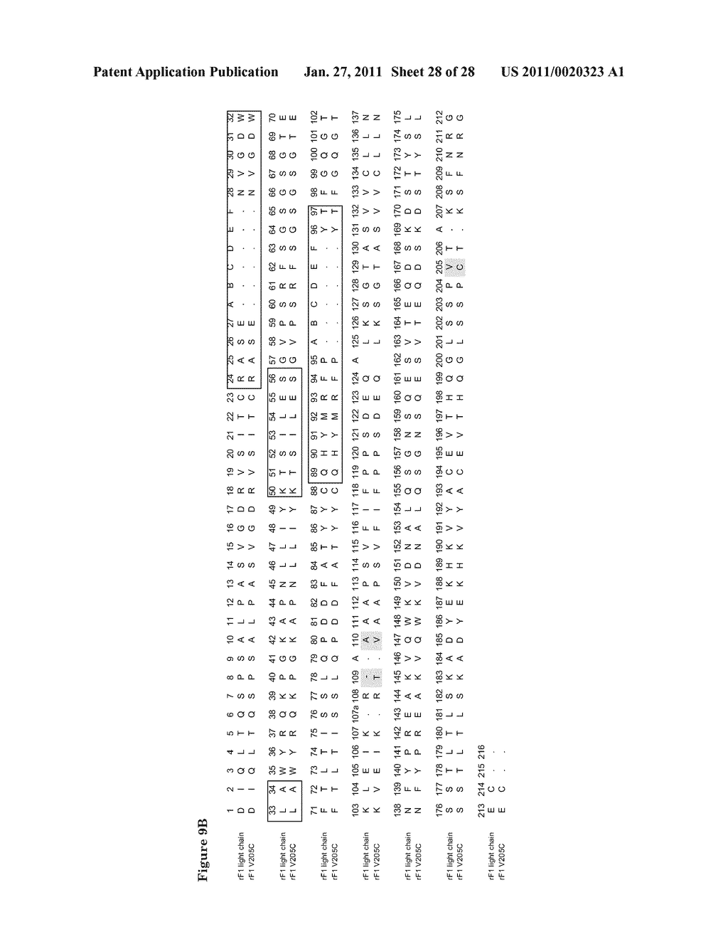 GRAM-POSITIVE BACTERIA SPECIFIC BINDING COMPOUNDS - diagram, schematic, and image 29