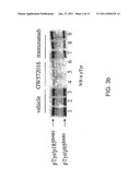 Treatment of Cancers Expressing p95 ErbB2 diagram and image