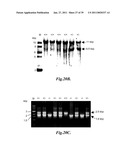 METHODS FOR TREATING CONDITIONS ASSOCIATED WITH MASP-2 DEPENDENT COMPLEMENT ACTIVATION diagram and image