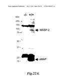 METHODS FOR TREATING CONDITIONS ASSOCIATED WITH MASP-2 DEPENDENT COMPLEMENT ACTIVATION diagram and image