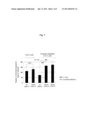 ANTI-BRAK (CXCL14) HUMAN MONOCLONAL ANTIBODY AND USE THEREOF diagram and image