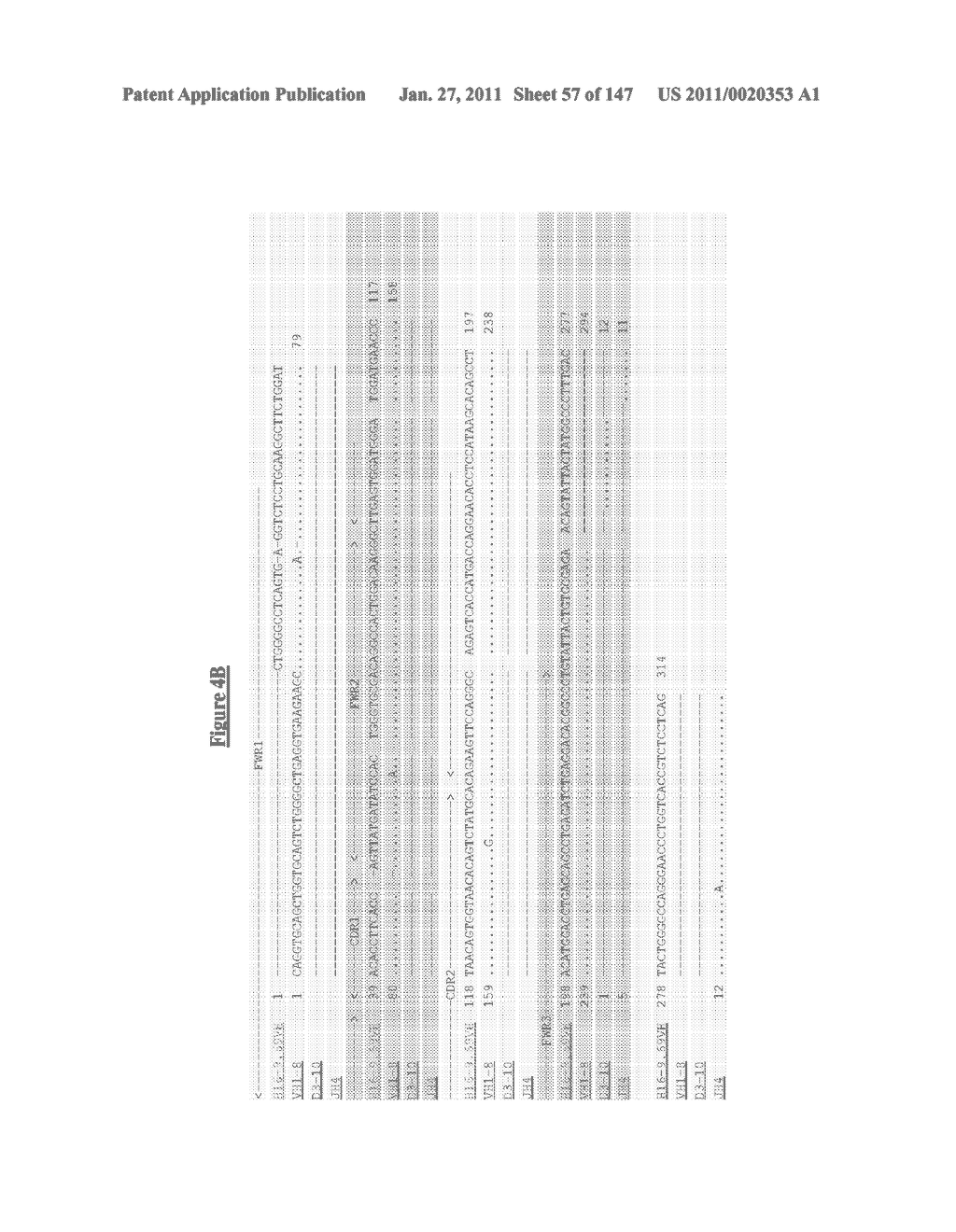 ANTIBODIES AND RELATED MOLECULES THAT BIND TO 161P2F10B PROTEINS - diagram, schematic, and image 58