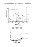 FOLLISTATIN DOMAIN CONTAINING PROTEINS diagram and image