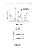 FOLLISTATIN DOMAIN CONTAINING PROTEINS diagram and image