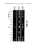 FOLLISTATIN DOMAIN CONTAINING PROTEINS diagram and image