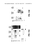 FOLLISTATIN DOMAIN CONTAINING PROTEINS diagram and image