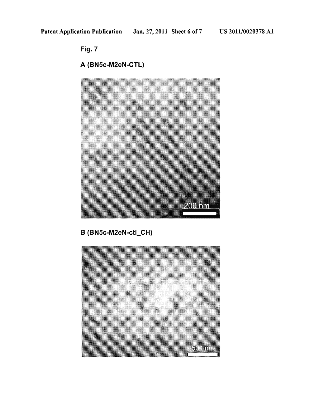 SELF-ASSEMBLING PEPTIDE NANOPARTICLES USEFUL AS VACCINES - diagram, schematic, and image 07