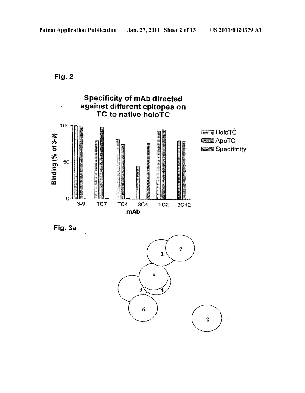 Cobalamin Assay - diagram, schematic, and image 03