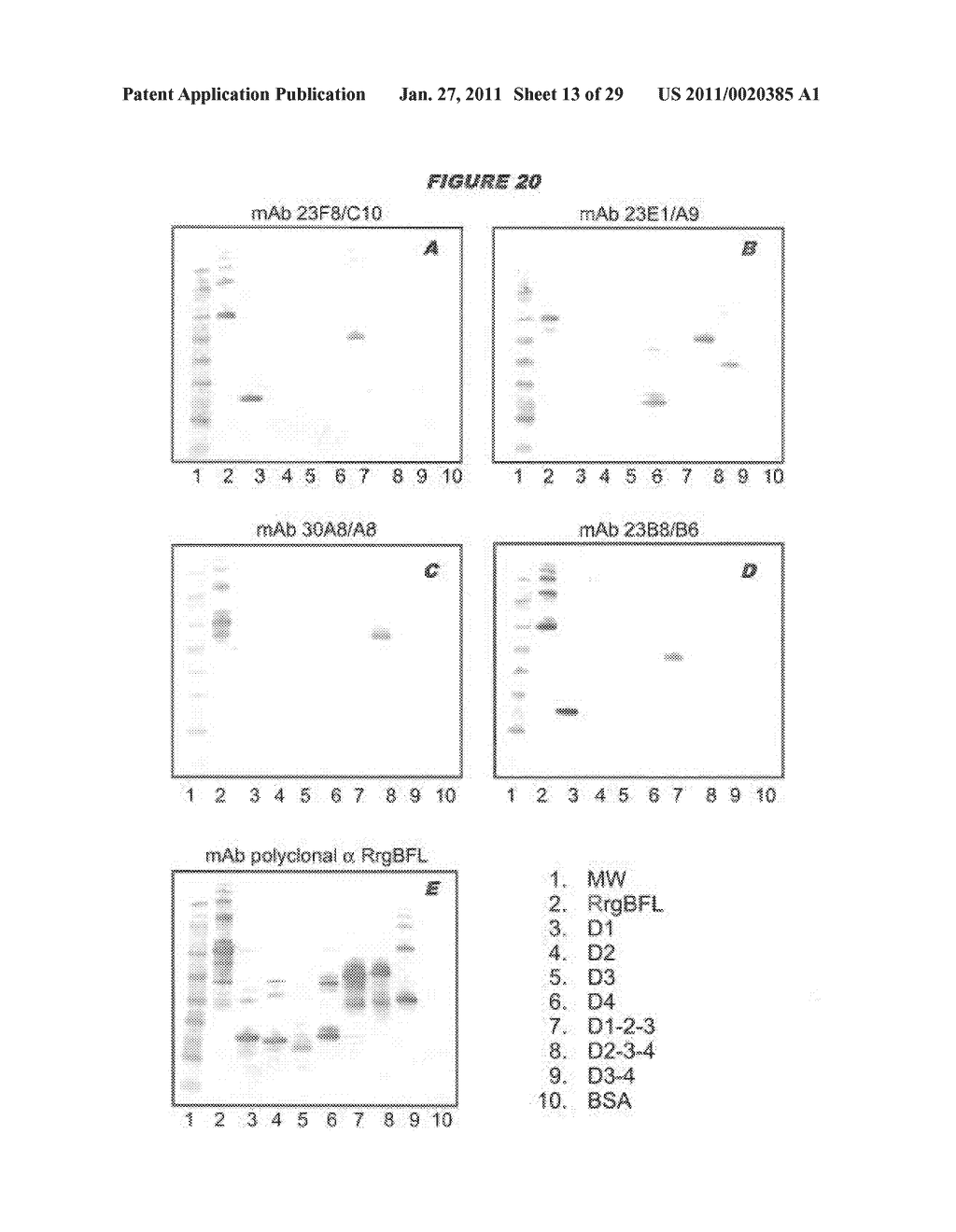 COMBINATIONS OF PNEUMOCOCCAL RrgB CLADES - diagram, schematic, and image 14