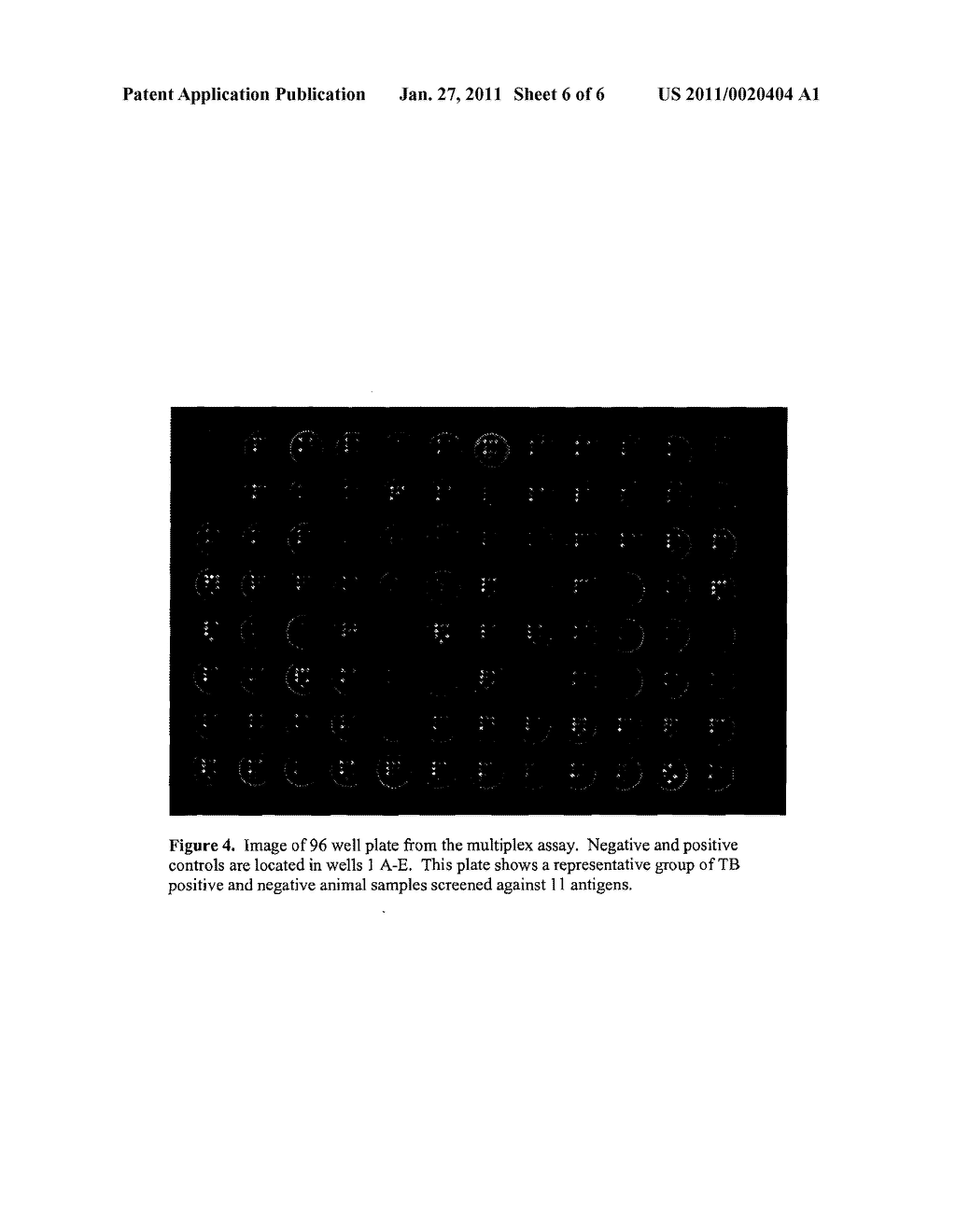 DIAGNOSTIC METHOD AND KIT - diagram, schematic, and image 07