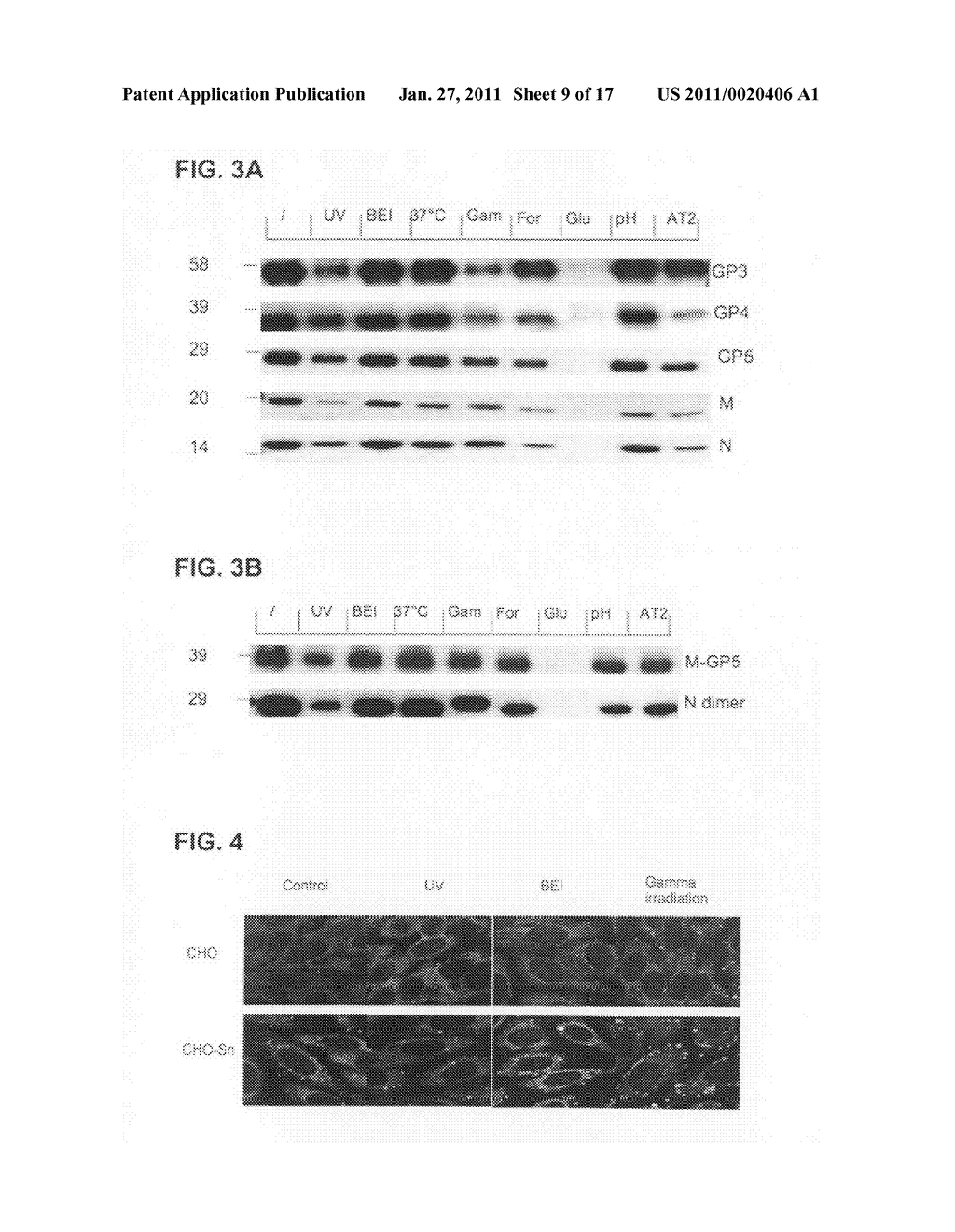 VIRAL INACTIVATION PROCESS - diagram, schematic, and image 10