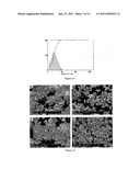 OSTEOINDUCTIVE CALCIUM PHOSPHATES diagram and image