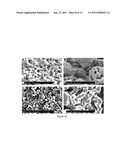 OSTEOINDUCTIVE CALCIUM PHOSPHATES diagram and image