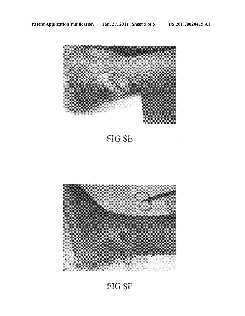 Materials and methods for wound treament - diagram, schematic, and image 06